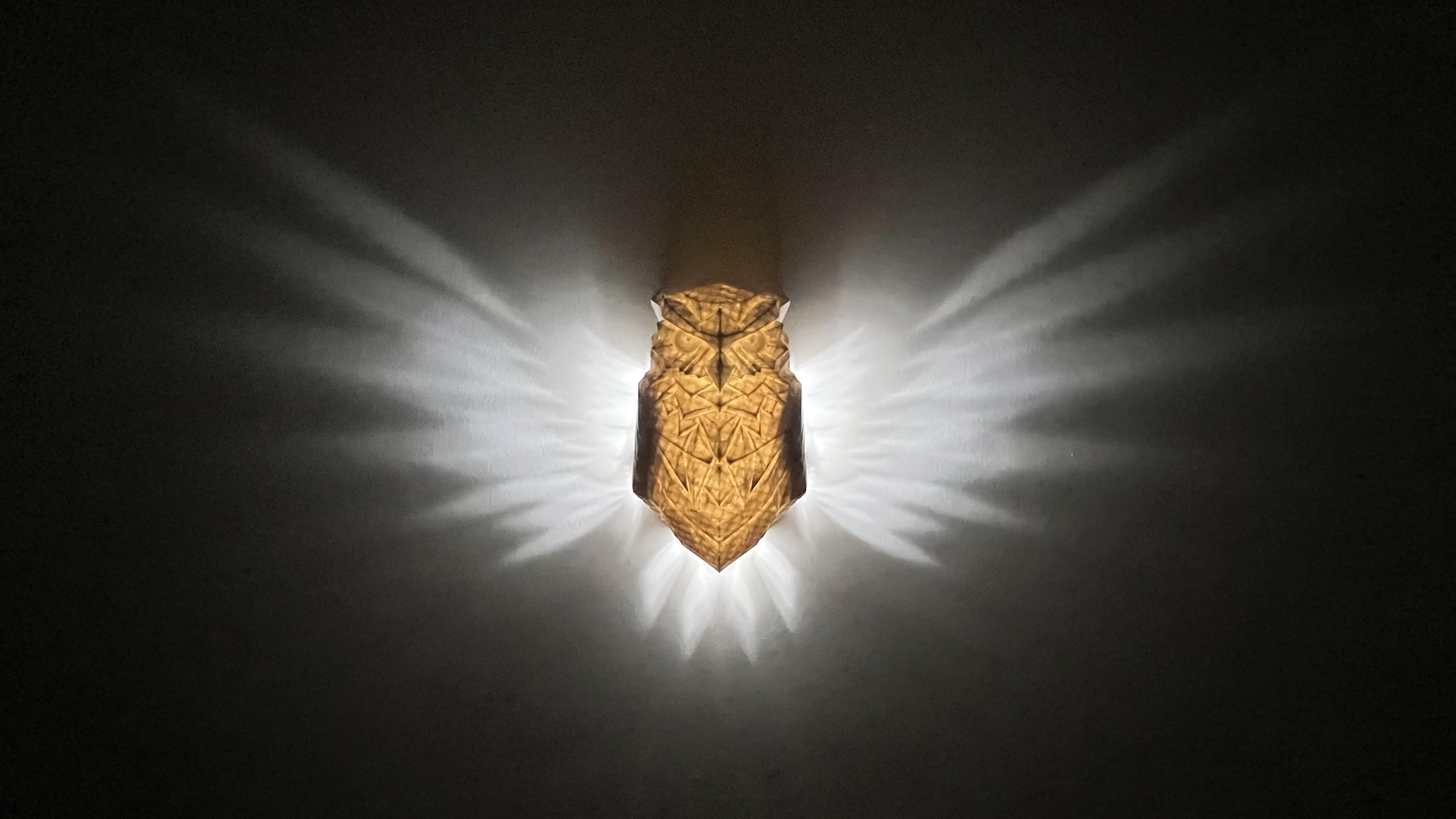 Baykuş Duvar Apliği