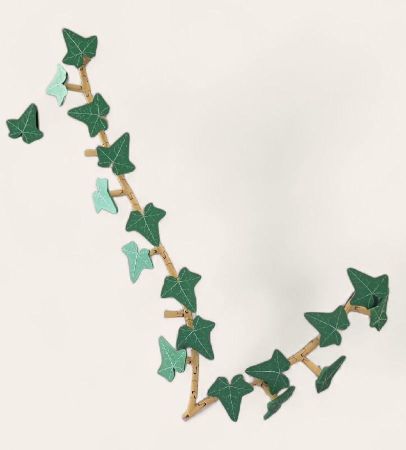 Yeşil Sarmaşık Magnet Seti